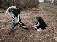 Arbor Day 7